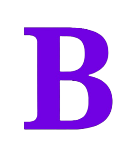 BFEITO NO BRUENQUE FUNDO BRENCO