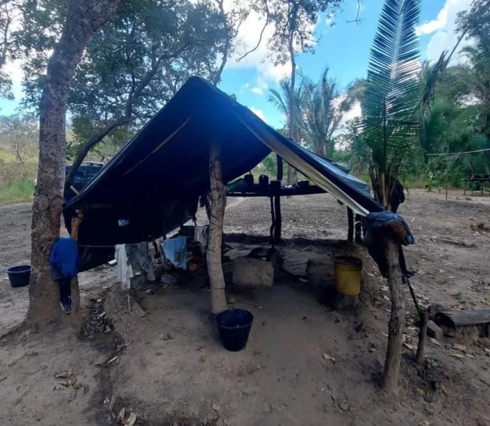 Mais - de - 20 – trabalhadores - são – resgatados - em - situação - análoga - à escravidão - em - na – cidade - de - Regeneração - do - Piauí