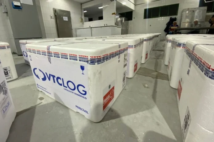 Na-imagem-doses-de-imunizantes-de-combate-à-dengue-no-Piauí