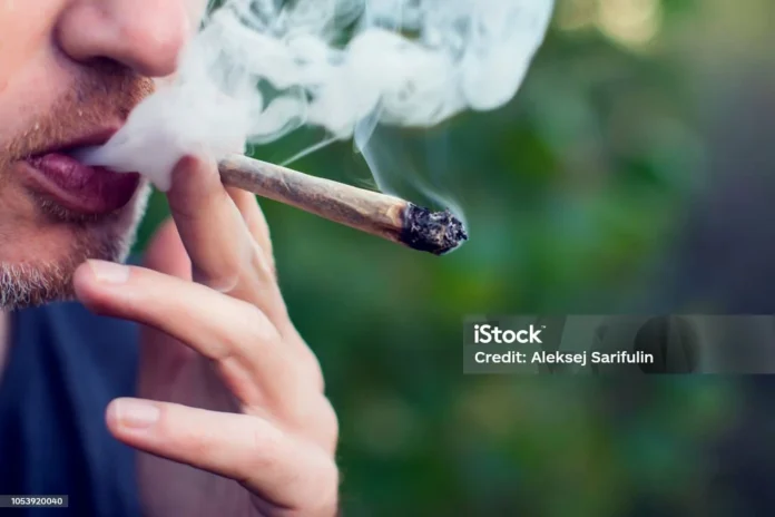 STF-libera-40-gramas-e-seis-pés-de-maconha-para-uso-pessoal-saiba-quantos-baseados-dá-para-fazer-com-a-quantidade-de-droga. A-imagem-um-homem-fazendo-uso-de-maconha