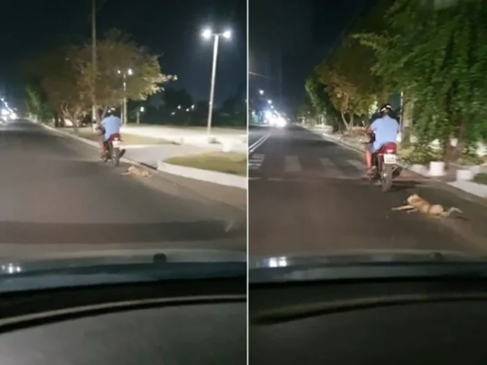 Na-foto-imagens-chocantes-de-um-homem-arrastando-um-cachorro-amarrado-por-uma-corda-pelas-ruas-de-Teresina-cenas-revoltaram-o-Piauí