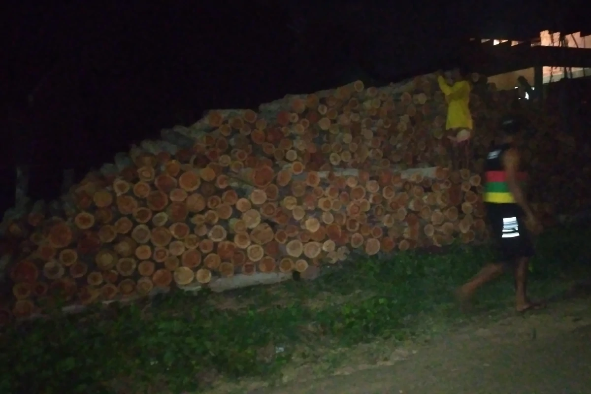 Imagens-de-toras-eucalipto-na-beira-da-estrada-no-bairro-Buritizinho-em-Regeneração