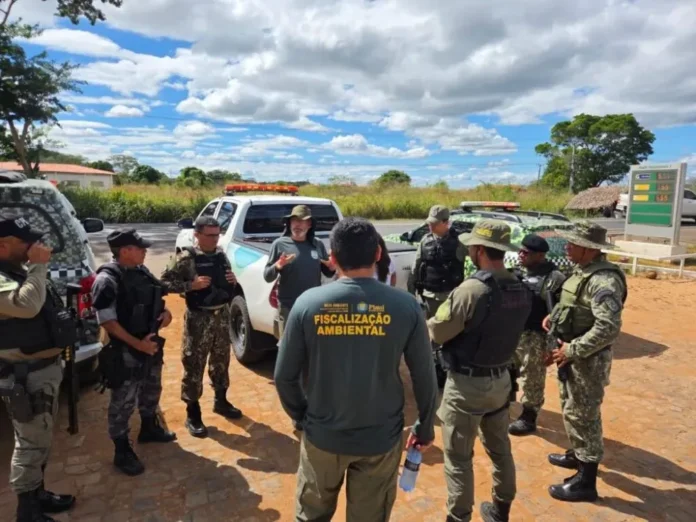 A-foto-mostra-Agentes-da-Secretaria-de-Meio-Ambiente-do-Piauí-se-preparando-para-a-maior-operação-ambiental-da-década-no-Piauí-contra-fornos-de-carvão-ao-todo-foram-destruídos-35-fornos-ilegais-e-apreende-quase-300-sacos-de-carvão-em-Regeneração-PI-os-fornos-operavam-sem-qualquer-tipo-de-licenciamento-ambiental-contribuindo-para-o-desmatamento-acelerado-de-áreas-nativas-e-colocando-em-risco-ecossistemas-locais.