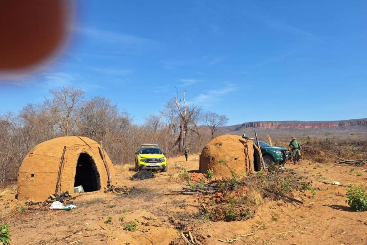 A-imagem-mostra-fornos-de-carvão-que-foram-fechados-durante-a-ofensiva-da-polícia-ambiental