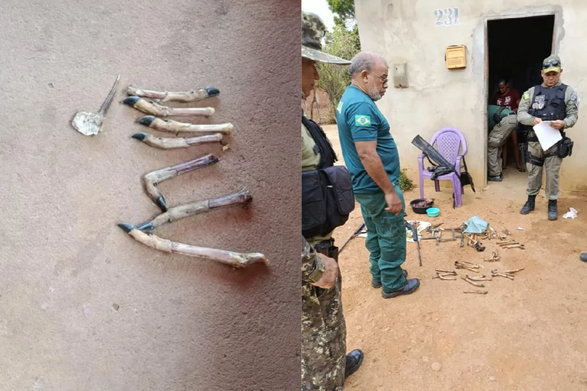 Policiais-ambientais-durante-operação