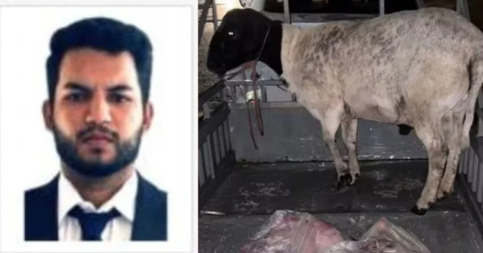 Roubo-à-mão-armada:-advogado-é-preso-suspeito-de-roubar-duas-ovelhas-e-uma-moto-no-interior-do-Piauí