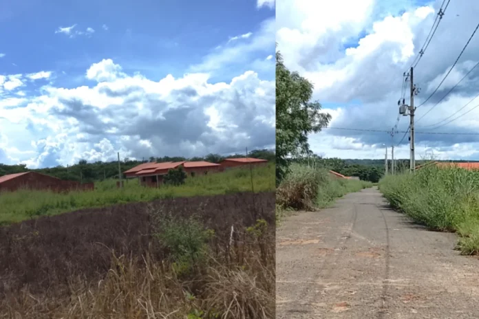 polotno - 2026-04-06T171115.938